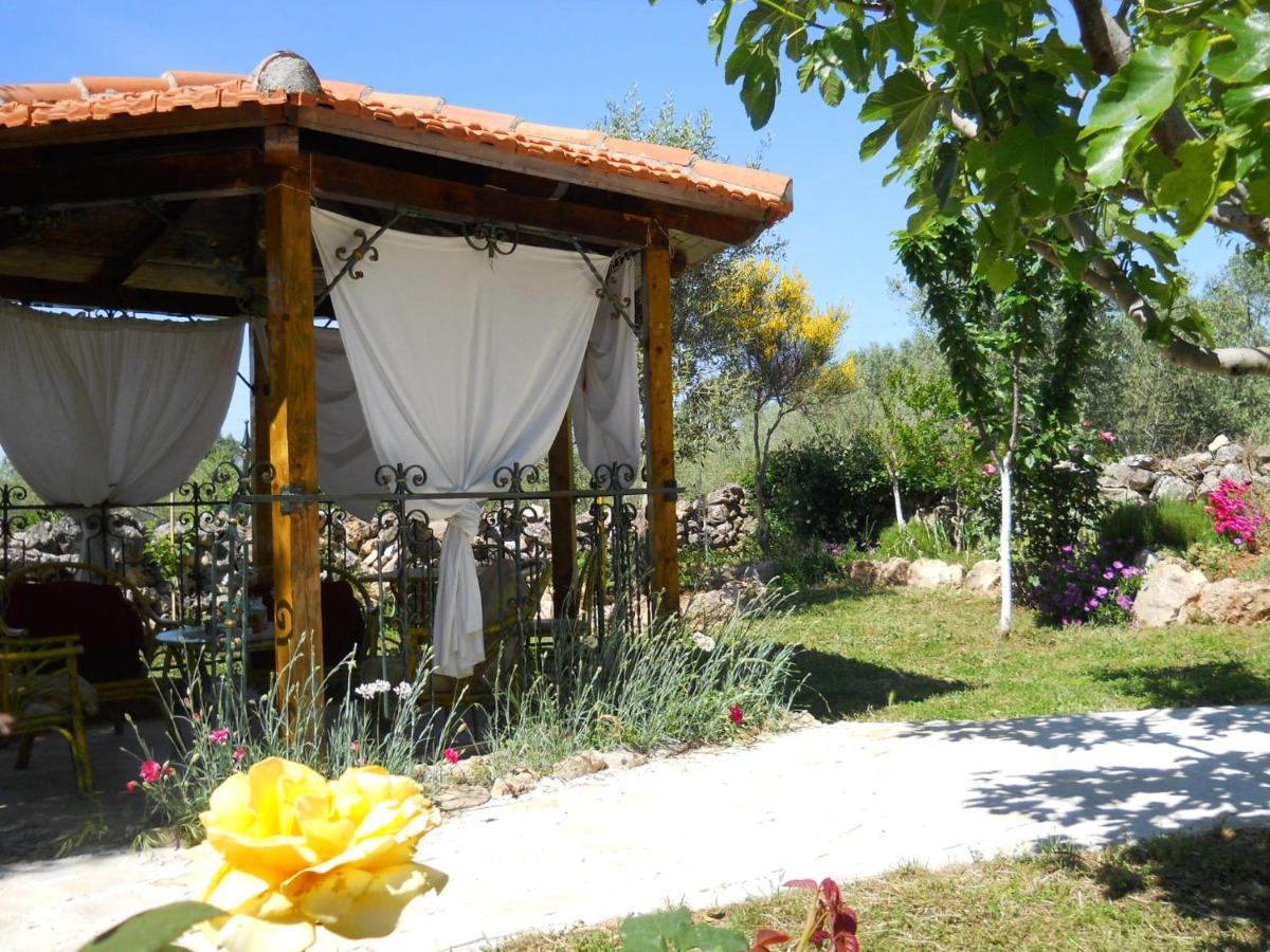 Apartments Branimir Zadar Luaran gambar